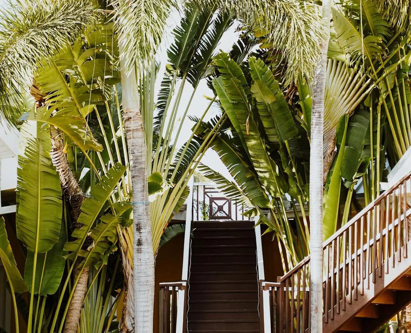 Shangri-La Boutique Bed & Breakfast